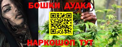 apvp Бийск