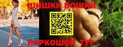 apvp Бийск